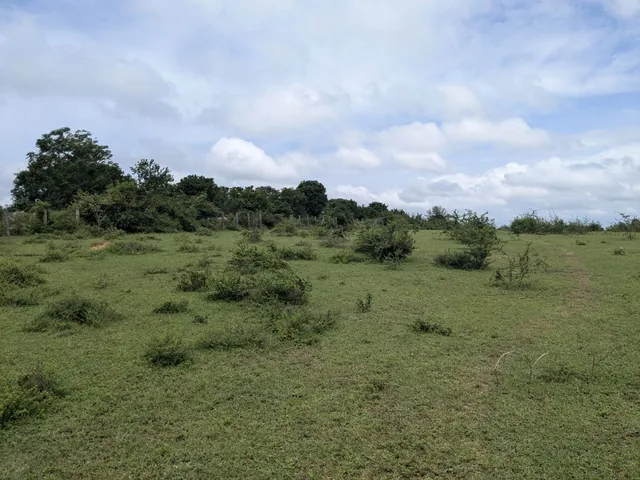 A vacant land parcel assessed for a real estate valuation